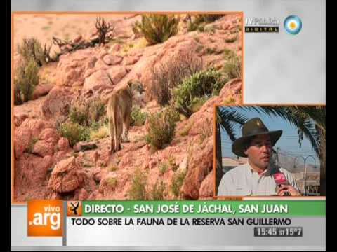  San Jose de Jachal (AR) escort